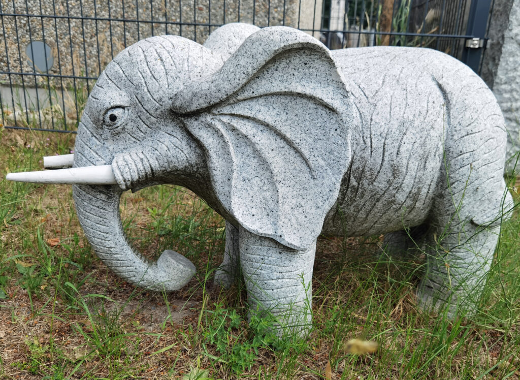 steinmetz-weber-lübben-babyelefant